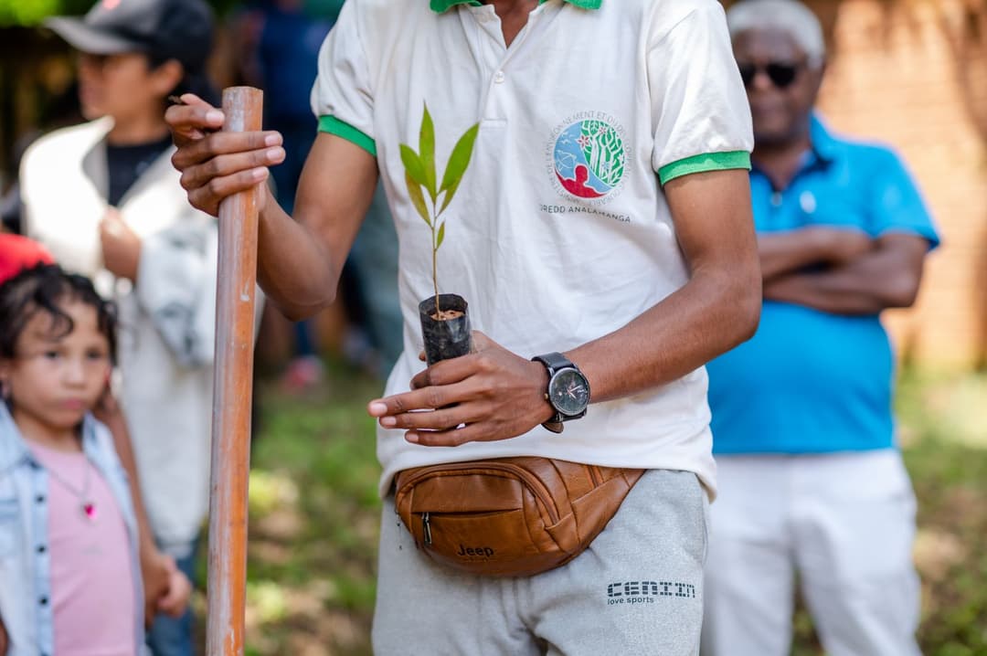 Reforestation du domaine du Rova d'Ilafy