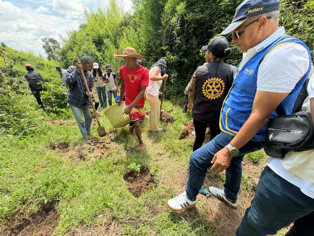 Reforestation du domaine du Rova d'Ilafy