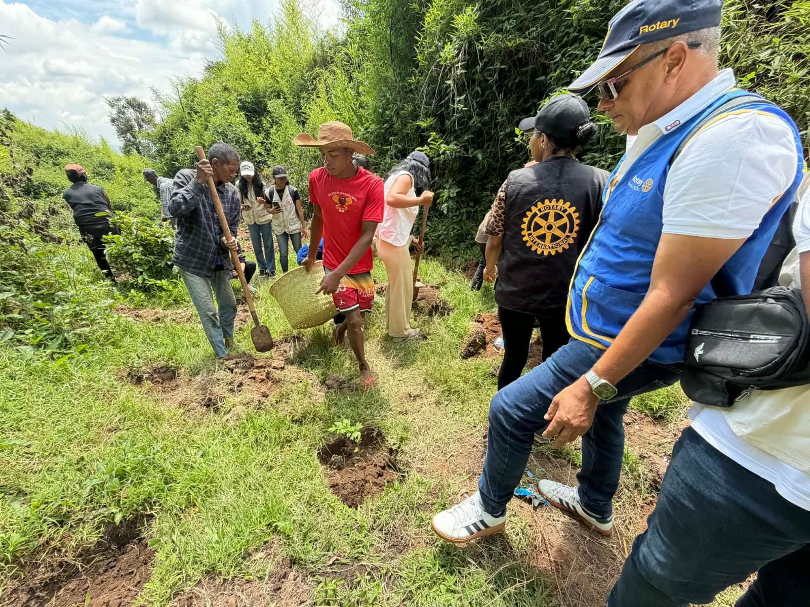 Reforestation du domaine du Rova d'Ilafy