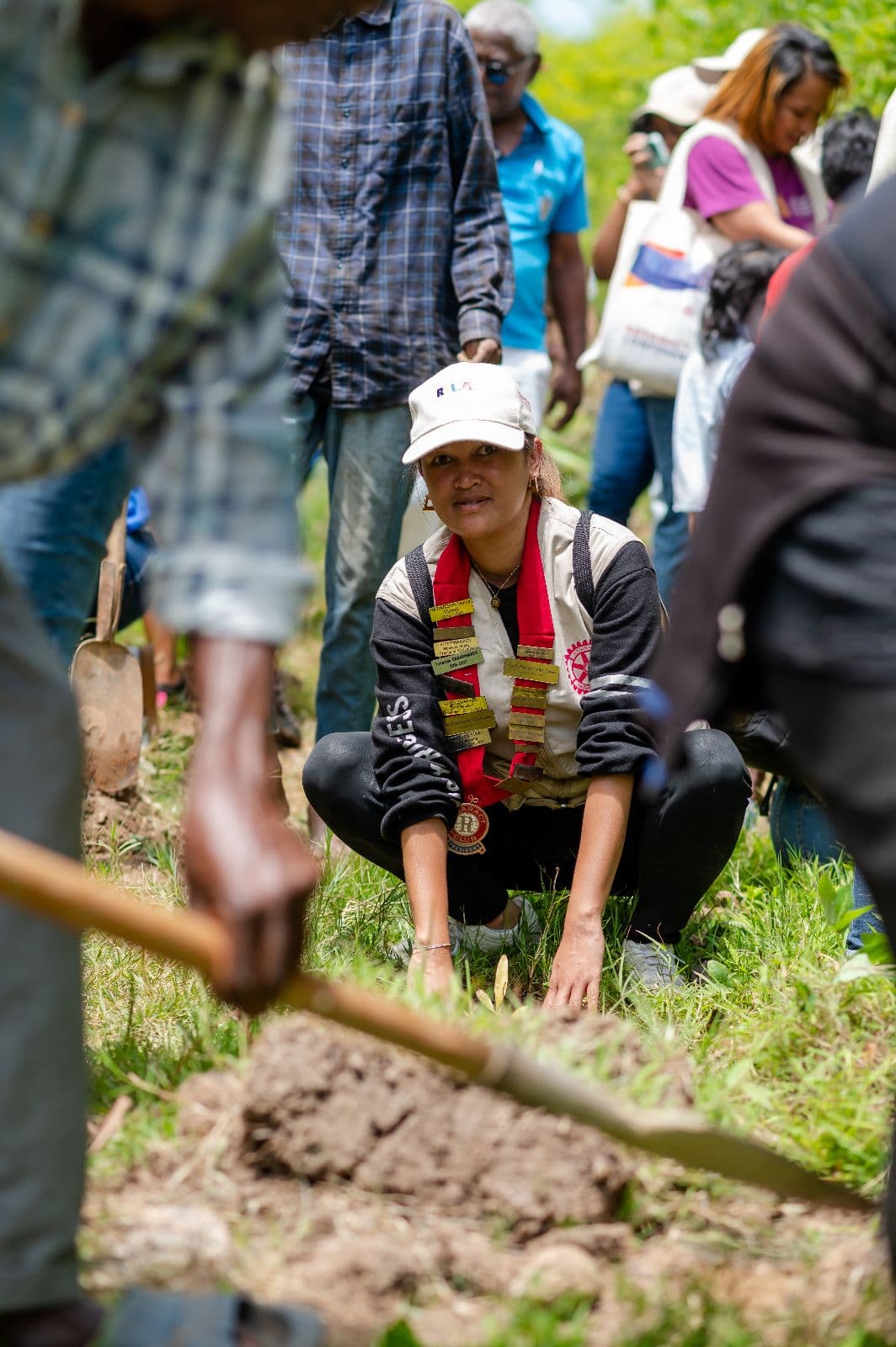 Reforestation du domaine du Rova d'Ilafy