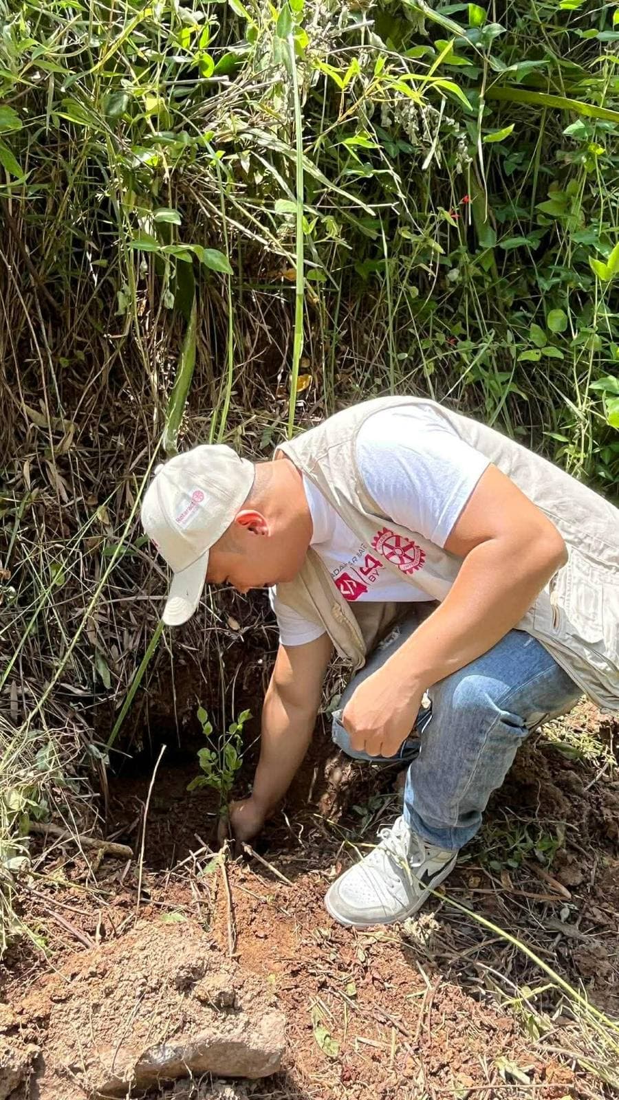 Reforestation du domaine du Rova d'Ilafy