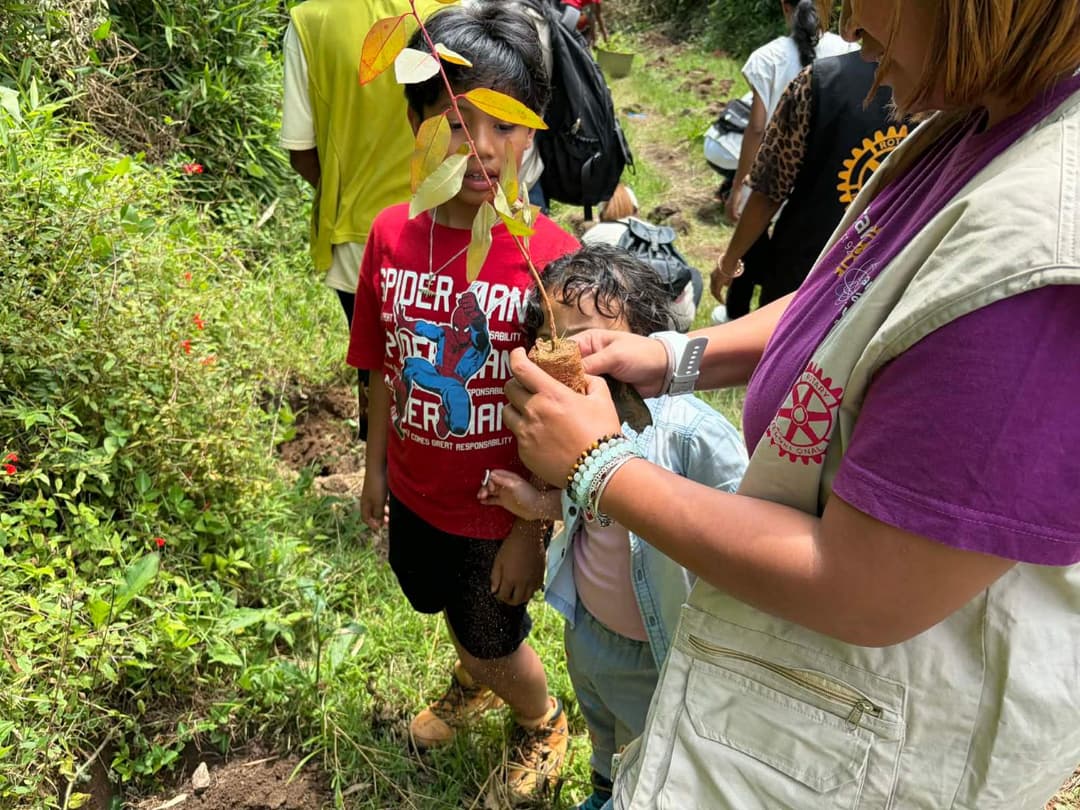 Reforestation du domaine du Rova d'Ilafy