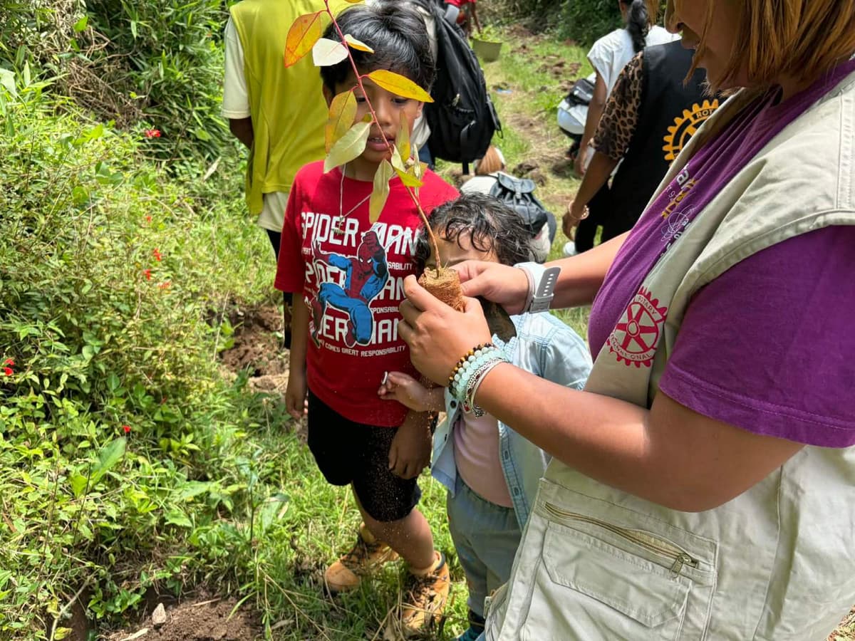 Reforestation du domaine du Rova d'Ilafy