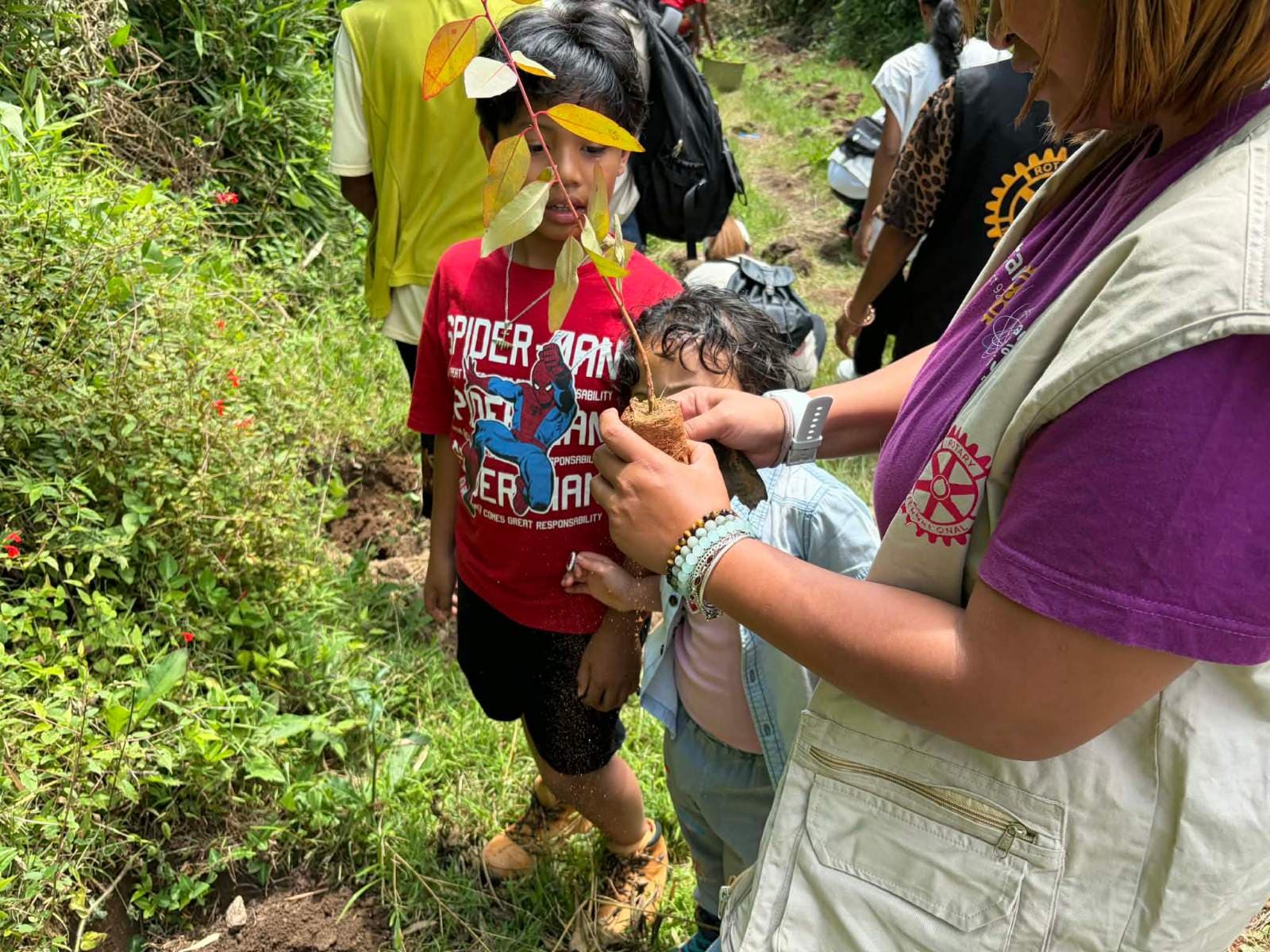 Reforestation du domaine du Rova d'Ilafy