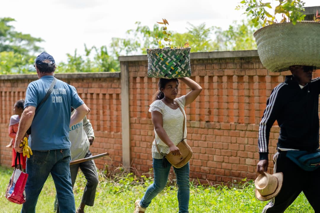 Reforestation du domaine du Rova d'Ilafy