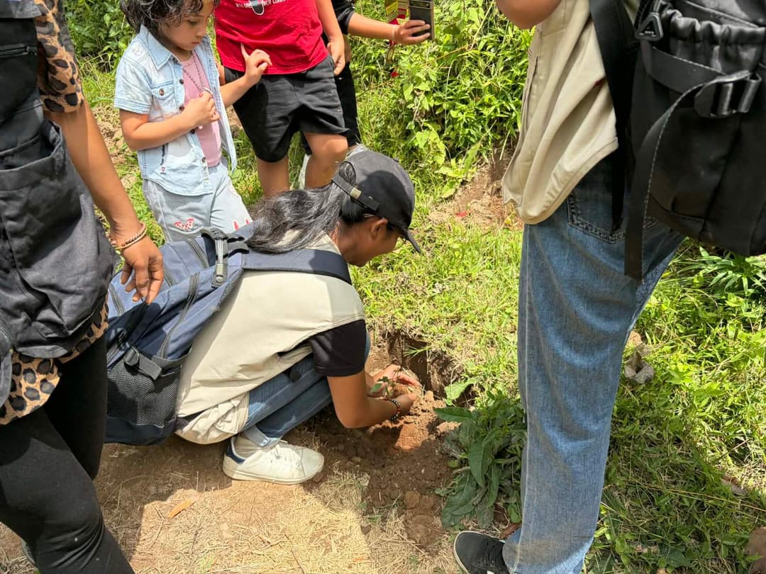 Reforestation du domaine du Rova d'Ilafy