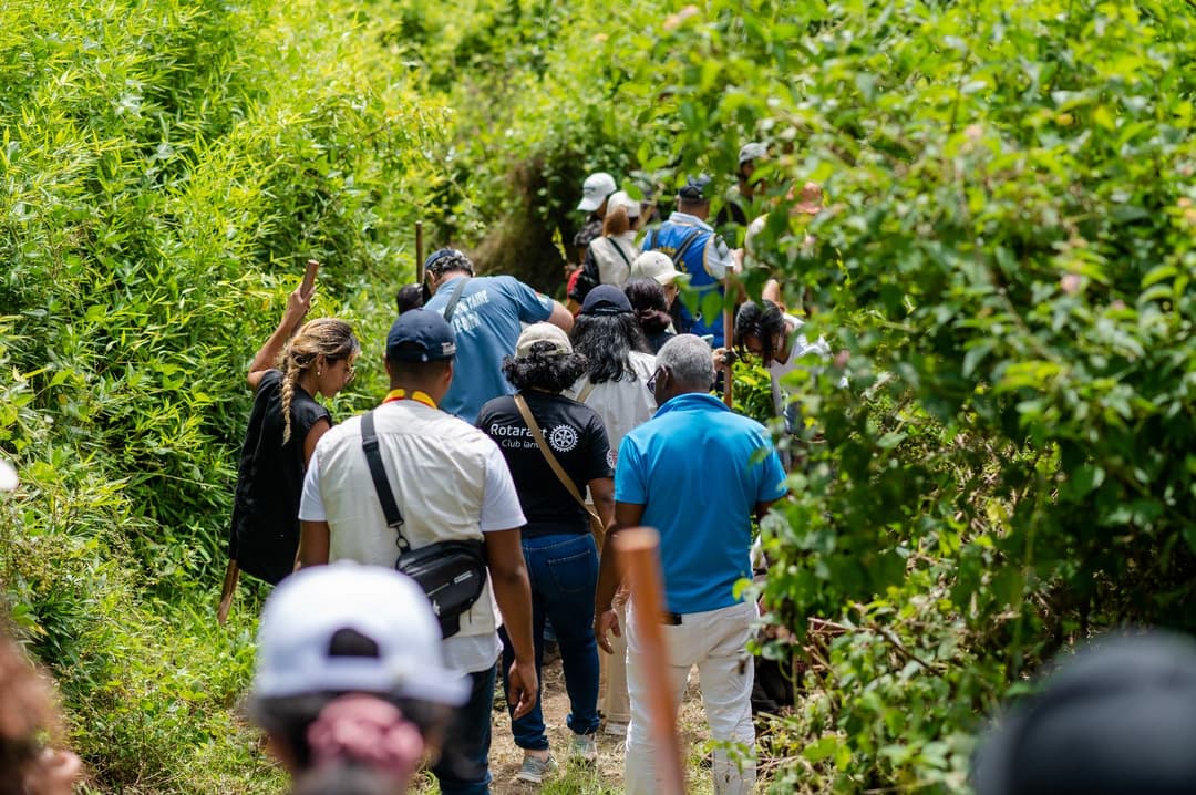 Reforestation du domaine du Rova d'Ilafy