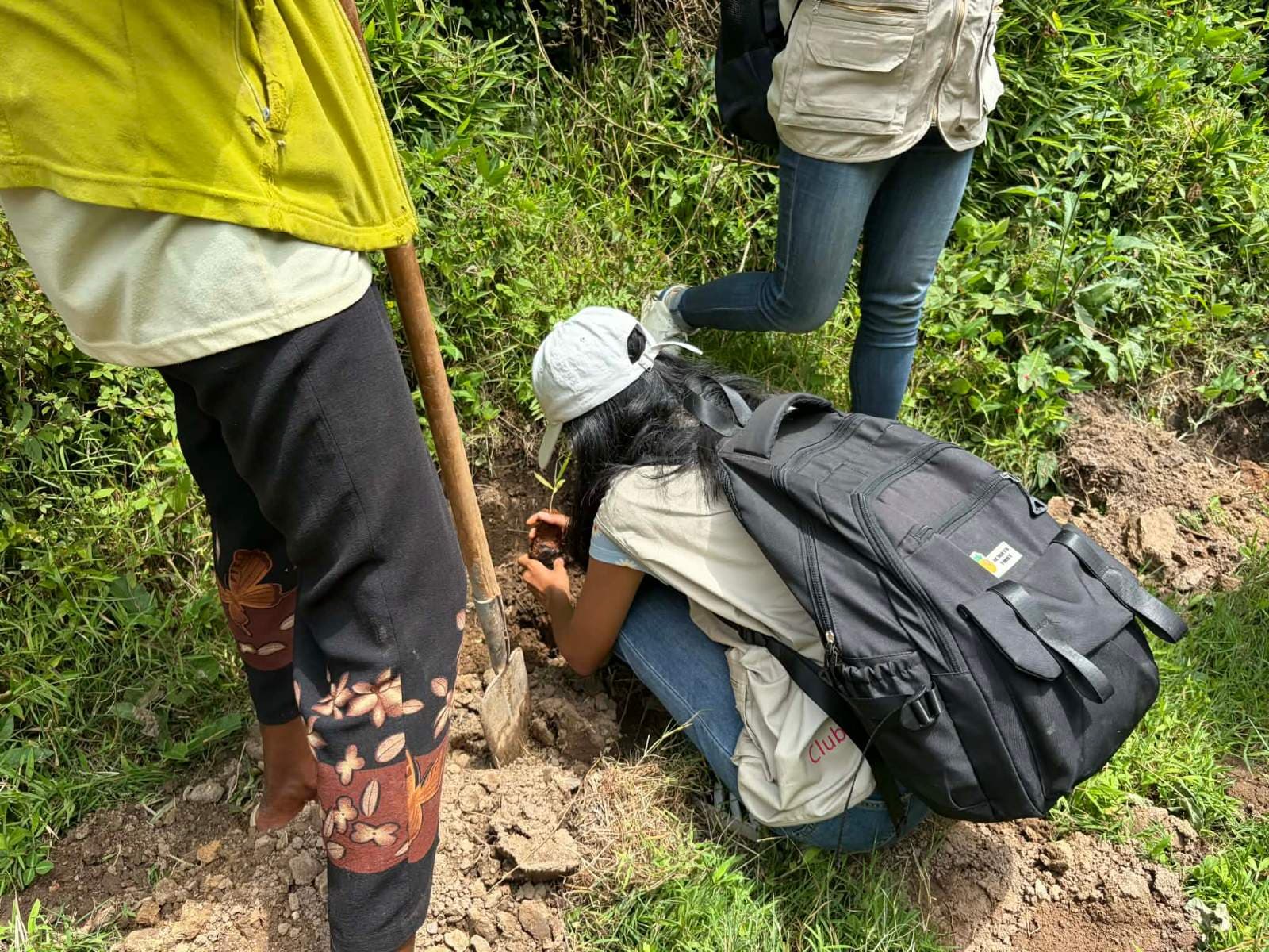 Reforestation du domaine du Rova d'Ilafy
