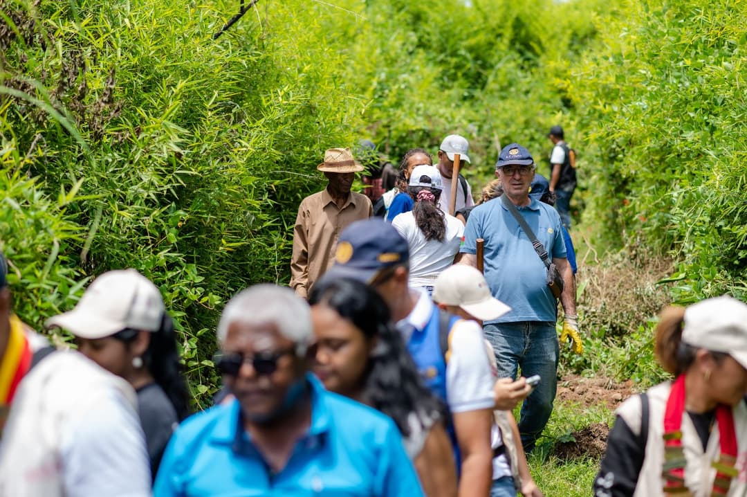 Reforestation du domaine du Rova d'Ilafy
