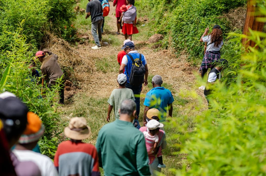 Reforestation du domaine du Rova d'Ilafy
