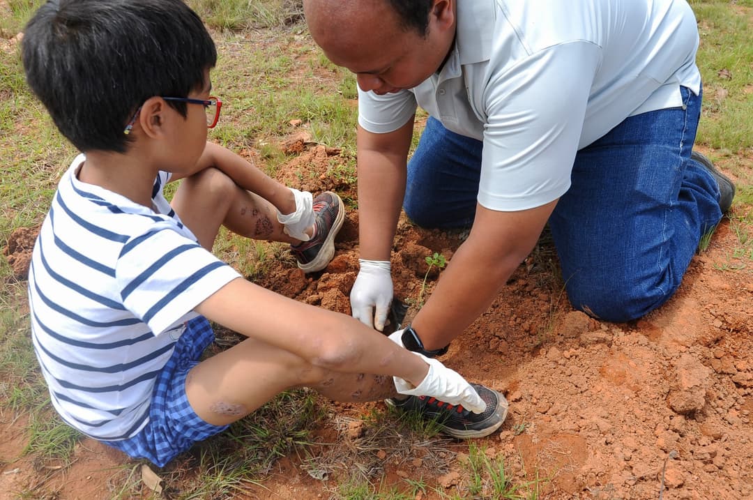 Agir pour la planète : 500 arbres plantés