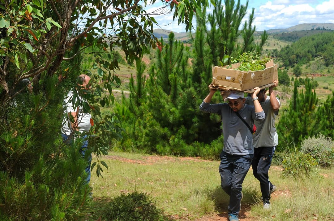 Agir pour la planète : 500 arbres plantés