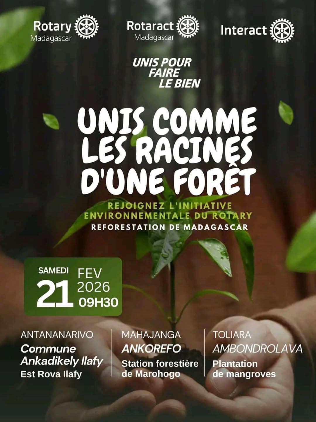 Reforestation du domaine du Rova d'Ilafy